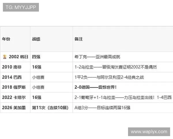 南非对韩国比赛中伤病情况最新分析与影响评估